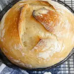 Speedy Same Day Sourdough Bread