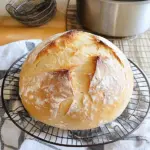 Speedy Same Day Sourdough Bread Recipe