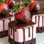 Chocolate-Covered Strawberry Mini Cakes